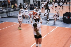 1stpick-PD727_28