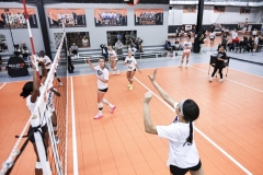 1stpick-PD727_53