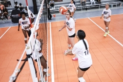 1stpick-PD727_62