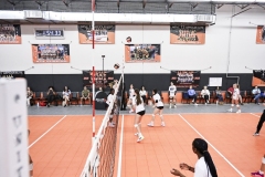 1stpick-PD727_69