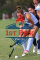 1stPickPhotos.com-147