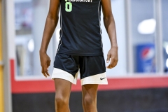 1stpick-_47