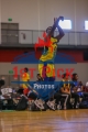 1stpickphotos.com-31