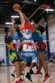 IMGS1201