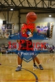 1stPickPhotos.com284