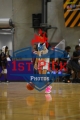 1stPickPhotos.com97