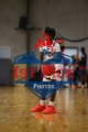 1stPickPhotos.com26