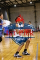 1stPickPhotos.com32