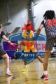 1stpickphoto.com_226