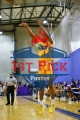 1stpickphoto.com_236