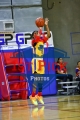 1stpickphoto.com_250