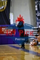 1stpickphoto.com_6