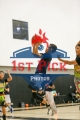 1stpickphotos.com-273