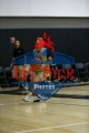 1stpickphotos.com-83