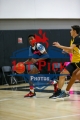1stpickphotos.com-82