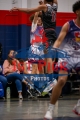 1stpickphotos.com-74